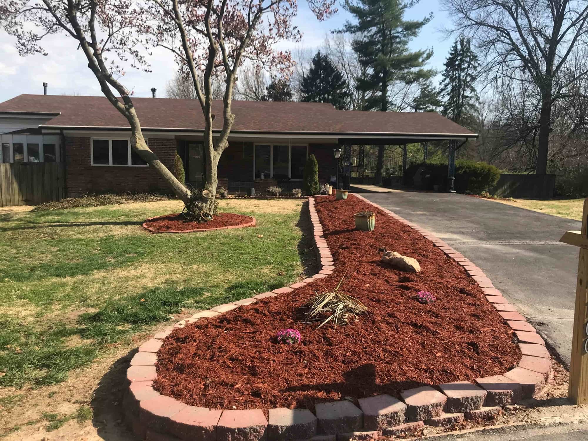 after mulching