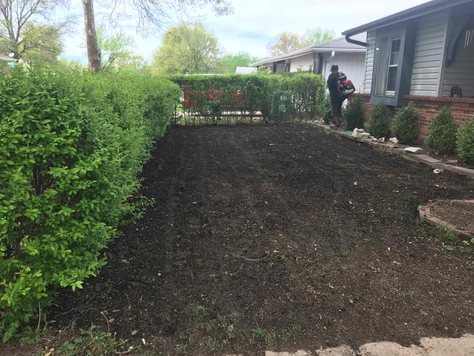 fertilized lawn