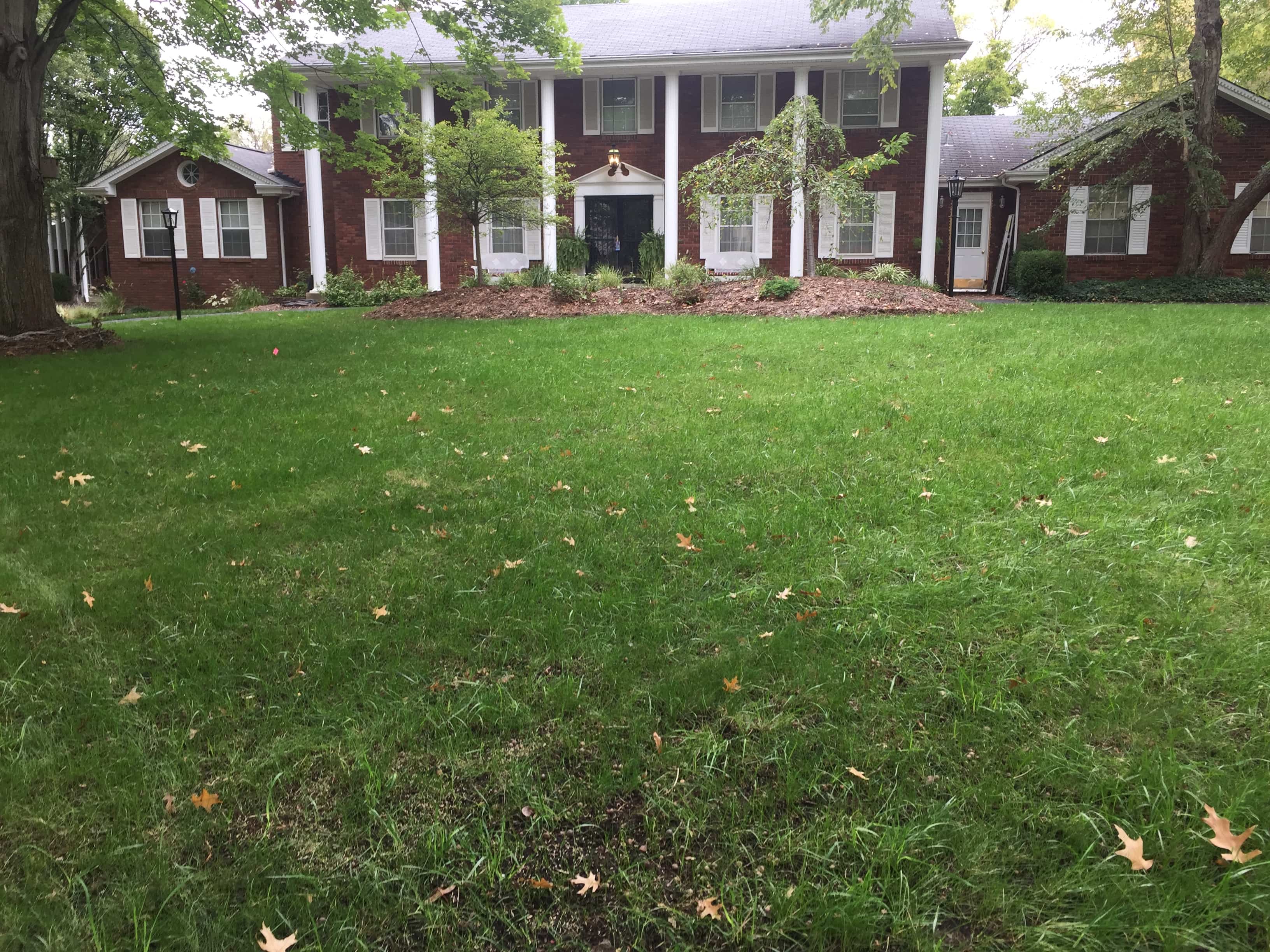 weed control