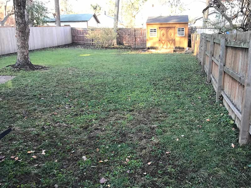 yard leaf clean up