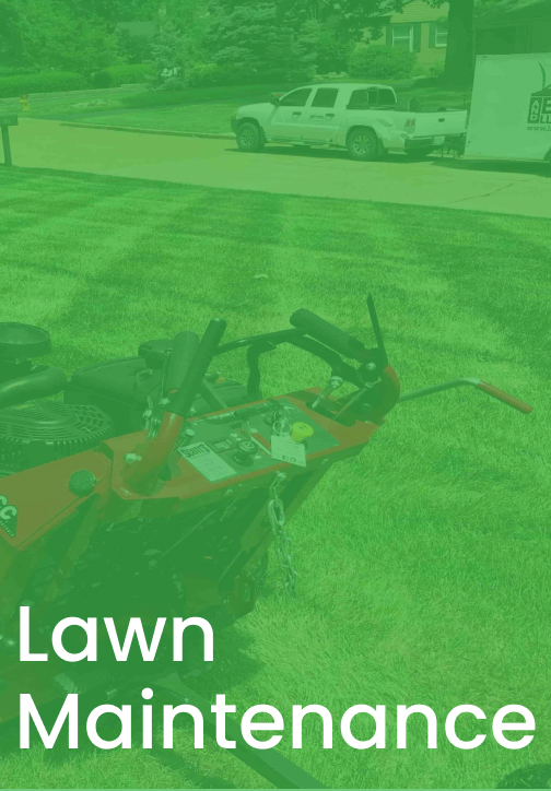 Lawn Maintenance Link